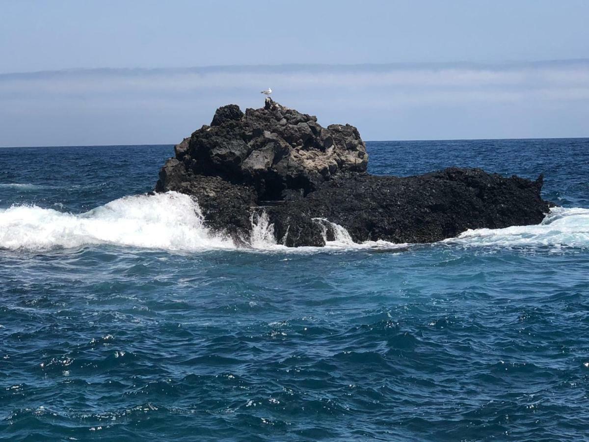 Vivienda Vacacional Balcon Sobre El Mar ลอสกันกาคอส ภายนอก รูปภาพ